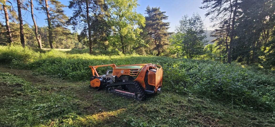 Entretien terrain en friche