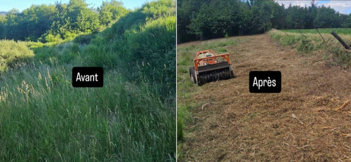 Débroussaillage Terrain en friche