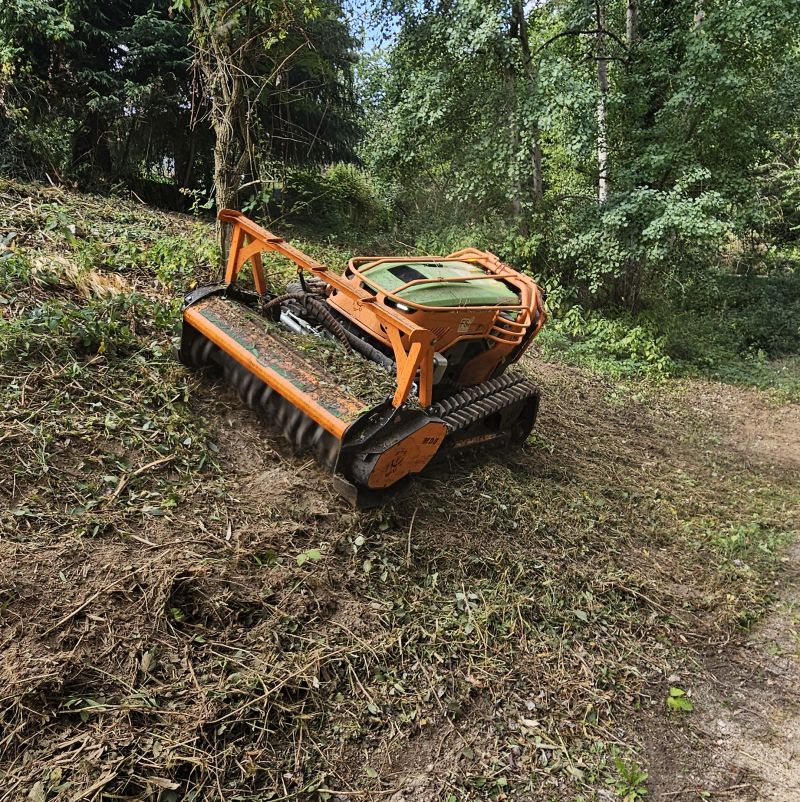 Débroussaillage mécanisé en Haute-Loire
