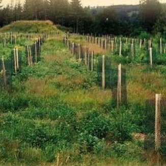 Débroussaillage dans le 42 et 43