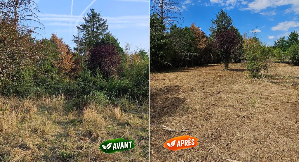 Débroussaillage,entretien de terrain dans la Loire